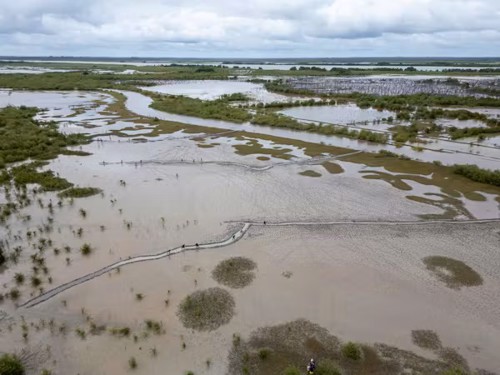 Hydrological restoration by Wetlands International in Guinea-Bissau, West Africa. Wetlands International, CC BY-NC-ND